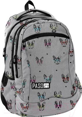 

Детский рюкзак Paso, PPBB19-2808