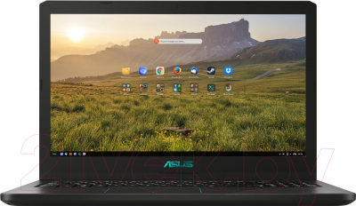 

Ноутбук Asus, X570ZD-FY419