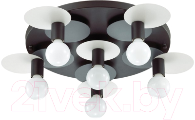 

Люстра Lumion, Aloy 3783/6C