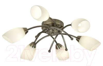 

Люстра SearchLight, Opera 8186-6AB