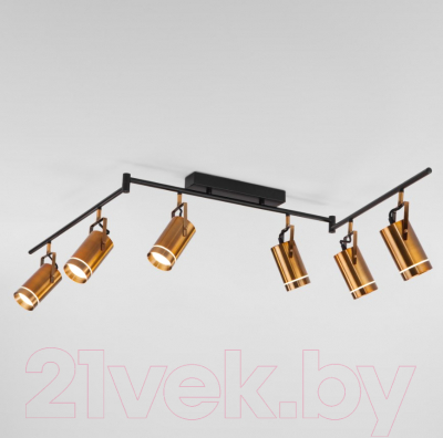 

Трековый светильник Евросвет, Bronze 20063/6