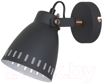 

Спот Camelion, WML-428-1 C02 / 13057