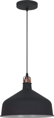 

Потолочный светильник Camelion, PL-425L C62 / 13029