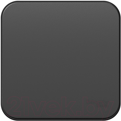 

Выключатель Schneider Electric, Blanca BLNCA101016