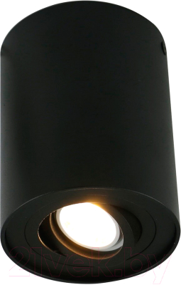 

Точечный светильник Arte Lamp, Falcon Grande A5644PL-1BK