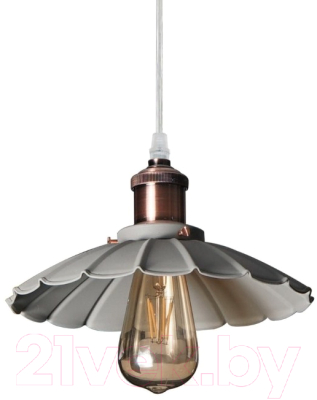 

Потолочный светильник Arte Lamp, Asti A8160SP-1GY