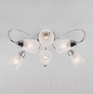 

Люстра Евросвет, Potpourri 30152/6