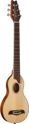 

Акустическая гитара Washburn, RO10 Rover
