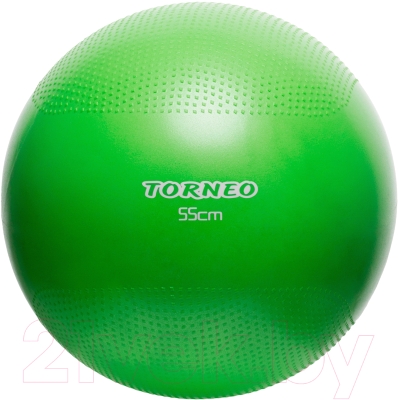 

Фитбол массажный Torneo, A-208