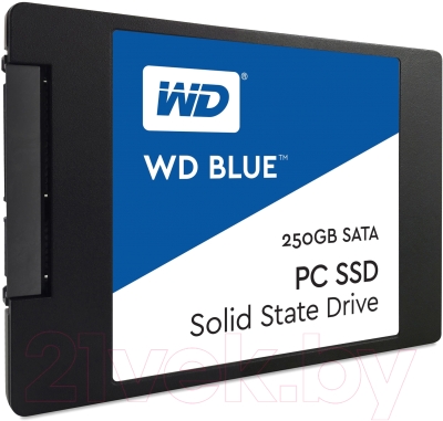 

SSD диск Western Digital, Blue 250GB (WDS250G1B0A)