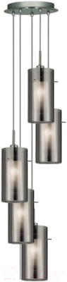 

Люстра SearchLight, Duo 2 2305-5SM