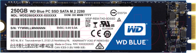

SSD диск Western Digital, Blue M.2 2280 250GB (WDS250G1B0B)