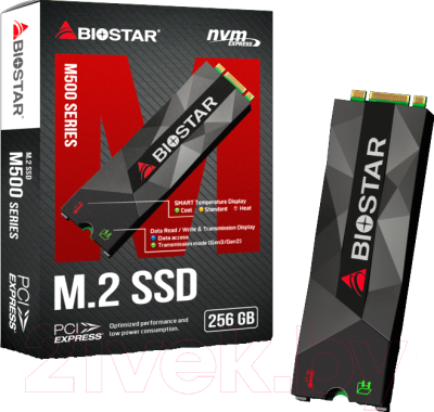 

SSD диск Biostar, M500 256GB (M500256GB)