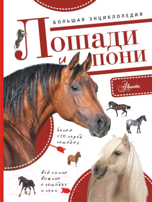 

Энциклопедия АСТ, Большая энциклопедия. Лошади и пони