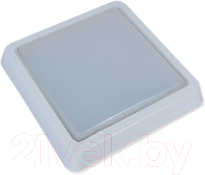 

Светильник для подсобных помещений Leek, LE LED BK SL 15W 6500K QS / LE061200-162