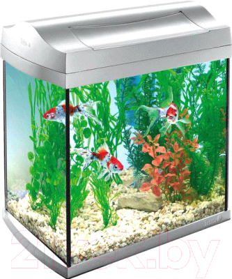 

Аквариумный набор Tetra, AquaArt Led Aquarium-Set 707068/211919
