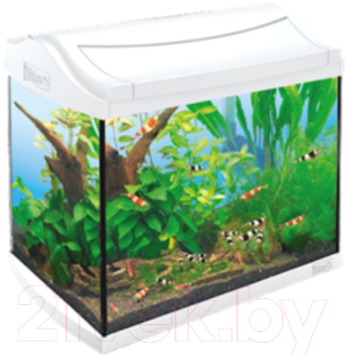 

Аквариумный набор Tetra, AquaArt Aquarium-Set 707067/211940