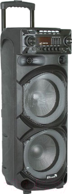 

Портативная колонка Eltronic, EL-1015ch