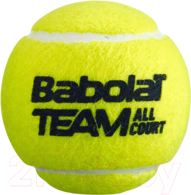 

Набор теннисных мячей Babolat, Birack French Open All Court/Team / 502098