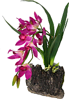 Декорация для террариума Lucky Reptile Orchid purple / IF-14 (фиолетовый) -