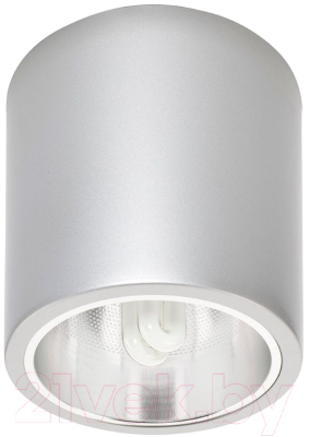 

Потолочный светильник Nowodvorski, Downlight 4867