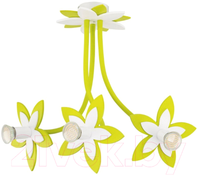 

Люстра Nowodvorski, Flowers 6898