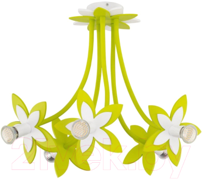 

Люстра Nowodvorski, Flowers 6901