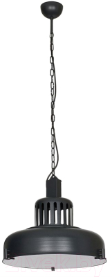 

Потолочный светильник Nowodvorski, Industrial Graphitee I L 5533