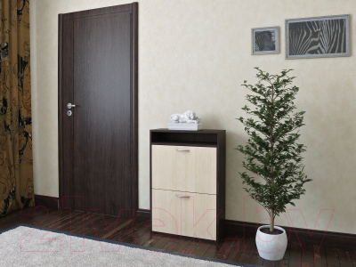 

Тумба в прихожую MFMaster, Милан-25 / МСТ-ОДМ-25-ДМ-16