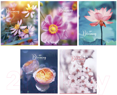 

Тетрадь ArtSpace, Цветы. The Blooming Garden / Т48кМл_24422