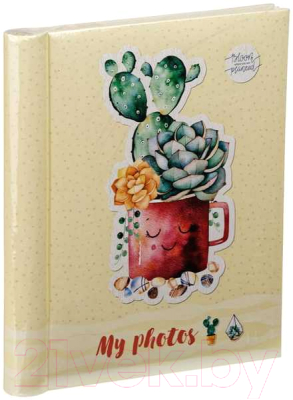 

Фотоальбом ArtSpace, Cute succulent / РА-22181