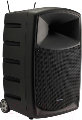 

Портативная акустика Audiophony, CR12A-COMBO