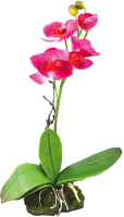 Декорация для террариума Lucky Reptile Orchid Pink / IF-11 (розовый) -