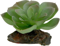 Декорация для террариума Lucky Reptile Echeveria / IF-83 (зеленый/красный) -