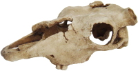 Декорация для террариума Lucky Reptile Череп Skull Cow / DS-B -