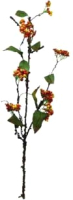 Декорация для террариума Lucky Reptile Twig with Berries / IF-35 -