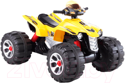 

Детский квадроцикл Farfello, JS318