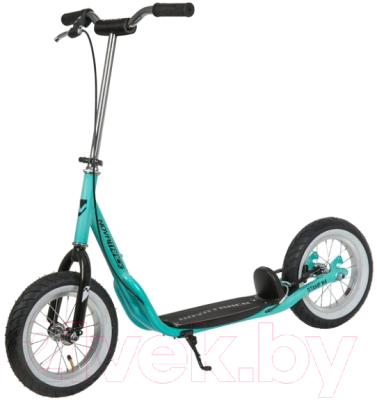 

Самокат Novatrack, Stamp N4 12STAMPN4.BL20