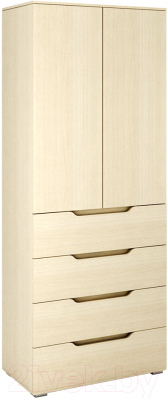 

Шкаф MFMaster, Нейт-104 / МСТ-ШКН-104-ДМ-16