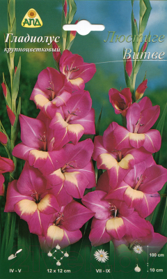 

Семена цветов АПД, Гладиолус Люстиге Витве / A30164