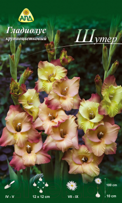 

Семена цветов АПД, Гладиолус Шутер / A31015