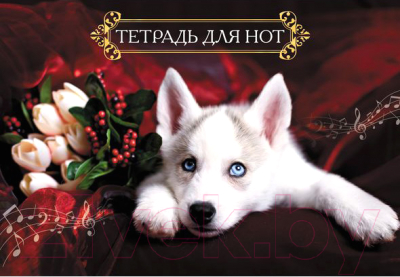 

Тетрадь нотная Hatber, Белый щенок 08ТдН4C / 18985