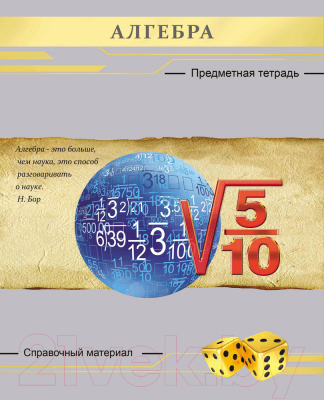 

Тетрадь предметная Проф-Пресс, Алгебра Серебро / 48-2639