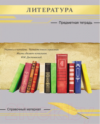 

Тетрадь предметная Проф-Пресс, Литература Серебро / 48-2649