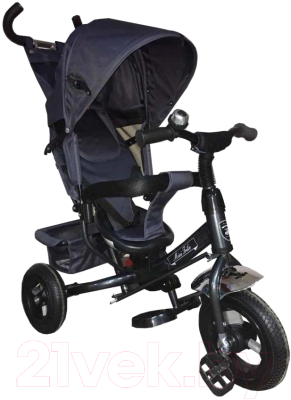 

Детский велосипед с ручкой Mini Trike, 950D