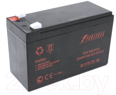 

Батарея для ИБП PowerMan, CA1270 PM/UPS 12V/7AH (6120492)
