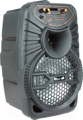 

Портативная колонка Eltronic, ECO-801ch