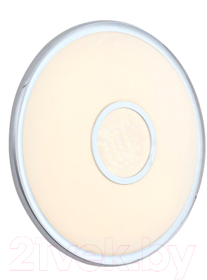 

Потолочный светильник ST Luce, Funzionale SLE351.102.01