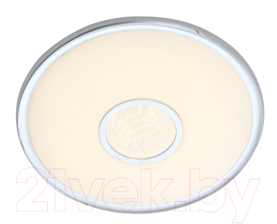 

Потолочный светильник ST Luce, Funzionale SLE351.112.01