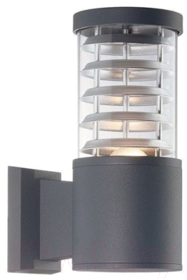 

Бра уличное Ideal Lux, Tronco AP1 Antracite / 027005